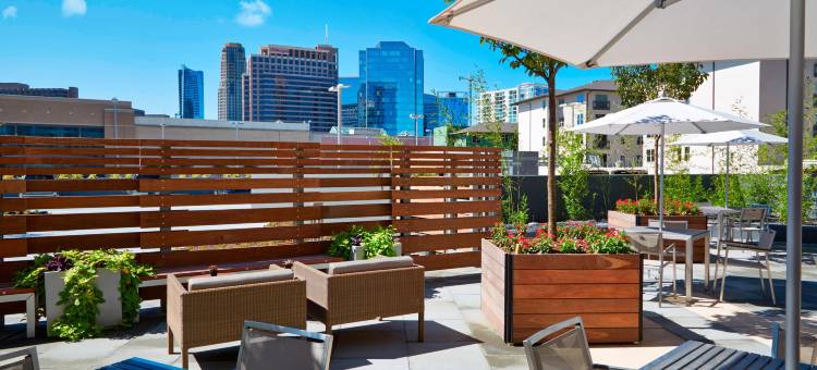 万豪AC酒店(AC Hotel Atlanta Buckhead at Phipps Plaza)图片