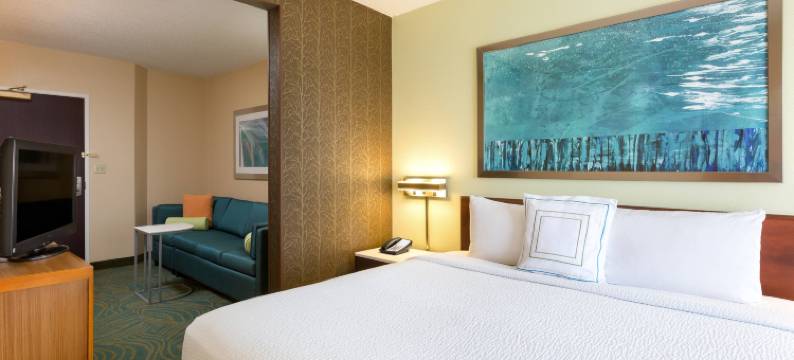 南奥斯汀万豪SpringHill酒店(SpringHill Suites Austin South)图片