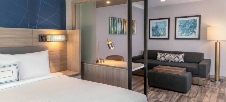 圣地亚哥卡尔斯巴德SpringHill Suites酒店(SpringHill Suites San Diego Carlsbad)图片