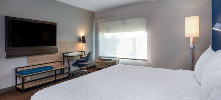 希尔顿欢朋酒店-内珀维尔芝加哥(Tru by Hilton Naperville Chicago)图片