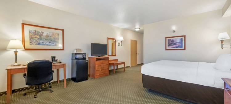 罗林斯舒适酒店(Comfort Inn & Suites)图片