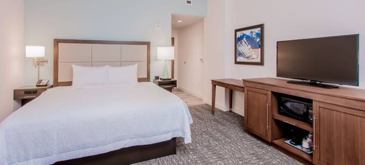 巴拿马城海滩海滨欢朋套房酒店(Hampton Inn and Suites Panama City Beach/Beachfront)图片