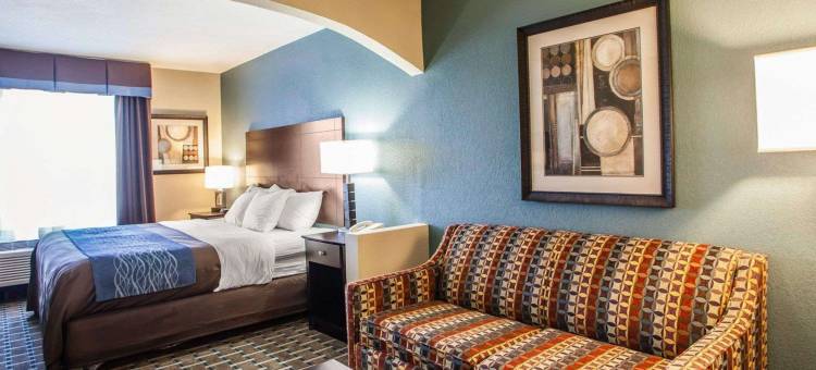 舒适酒店-利斯萨米特50号及291号高速公路(Comfort Inn Lees Summit - Hwy 50 & Hwy 291)图片