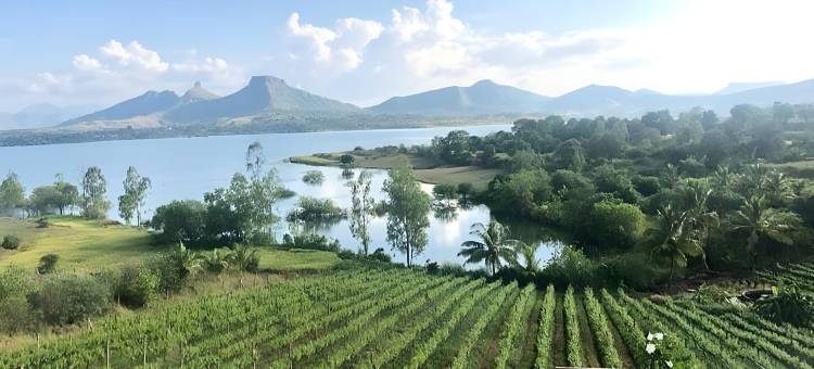 瓦隆葡萄园酒店(Vallonne Vineyards)图片