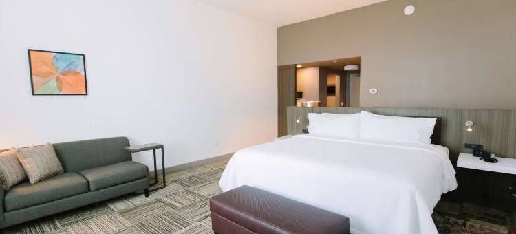 希尔顿花园酒店-冬季公园(Hilton Garden Inn Winter Park)图片