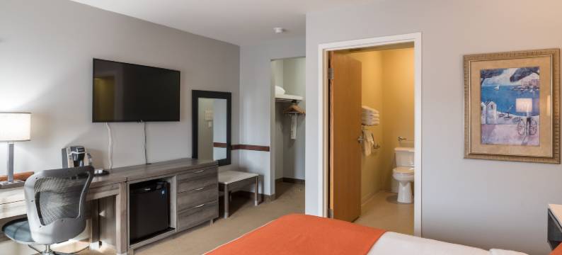 阿姆斯特丹蒙克顿套房酒店(Amsterdam Inn & Suites Moncton)图片