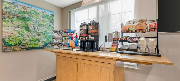 美国长住酒店套房 - 华盛顿特区 - 泰森斯角(Extended Stay America Suites - Washington, DC - Tysons Corner)图片