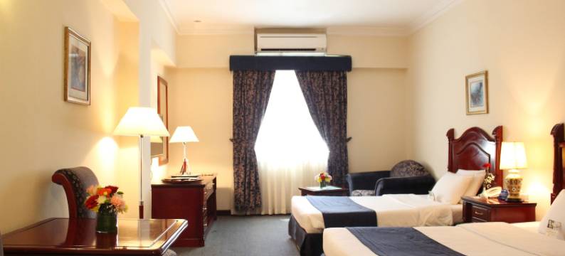 阿尔达尔米娜酒店(Al Diar Mina Hotel)图片