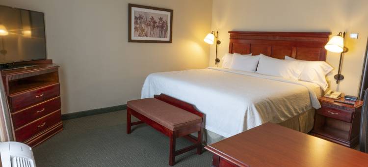 瓜达拉哈拉希尔顿欢朋酒店(Hampton Inn by Hilton Guadalajara - Airport)图片