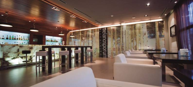 黑块菌酒店(Hotel la Trufa Negra)图片