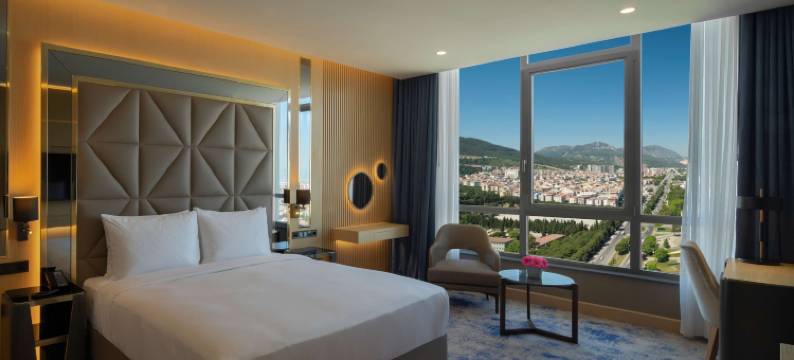 马尼萨希尔顿逸林酒店(DoubleTree by Hilton Manisa)图片