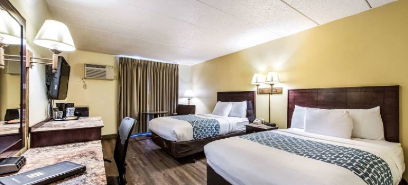 梅奥诊所区伊康旅馆(Econo Lodge Mayo Clinic Area)图片