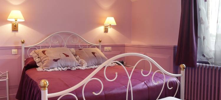 法国孔特尔-博瓦尔-舍韦尔尼酒店(Contact Hôtel de France Contres-Beauval-Cheverny)图片