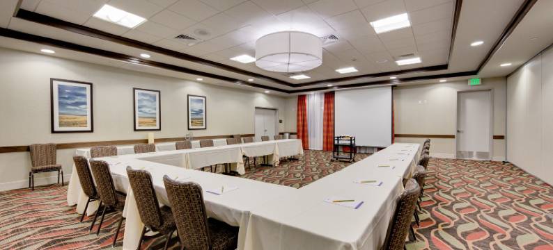 北休斯敦斯普林希尔顿花园酒店(Hilton Garden Inn North Houston/Spring)图片