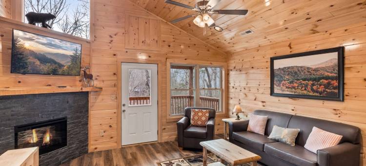 Win A Bear is a New Cabin Located in Pigeon Forge图片