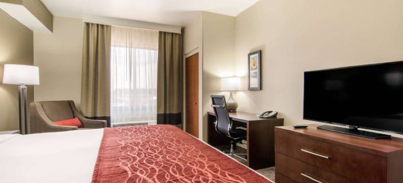 独立舒适套房酒店(Comfort Inn & Suites Independence)图片