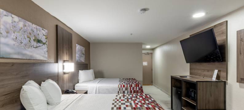 麦卡伦法尔红顶酒店(Red Roof Inn Pharr - McAllen)图片