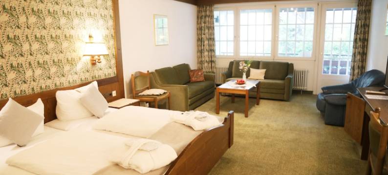 阿德勒斯图贝(Hotel Restaurant Adler Stube)图片