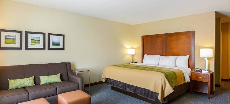 伍德斯托克仙纳度舒适酒店(Comfort Inn Woodstock Shenandoah)图片