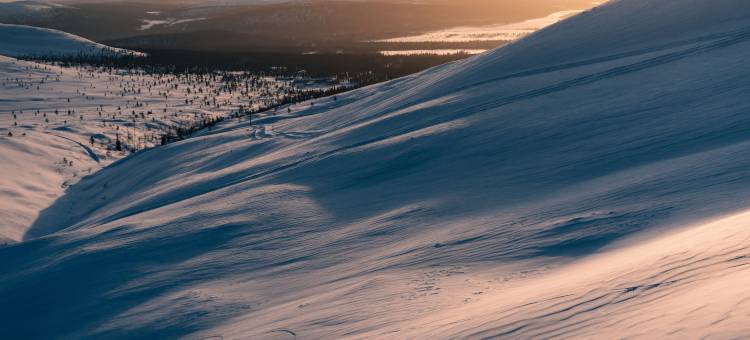 帕拉斯拉普兰酒店(Lapland Hotels Pallas)图片