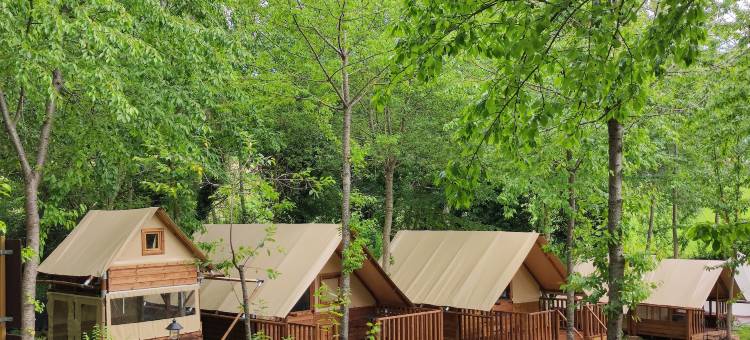 赛库拉自然村体验农庄住宿(Saecula Natural Village Experience)图片