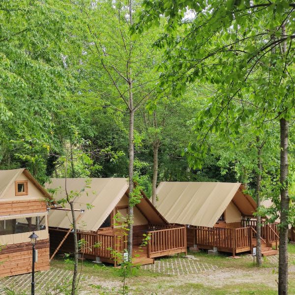 赛库拉自然村体验农庄住宿(Saecula Natural Village Experience)图片