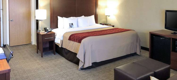 舒适酒店(Comfort Inn)图片