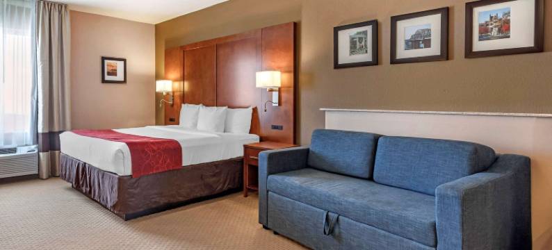 佛罗伦萨浅滩区舒适套房酒店(Comfort Suites Florence Shoals Area)图片