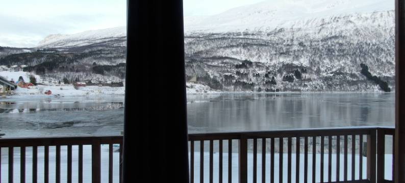 北极旅馆(Arctic Inn)图片