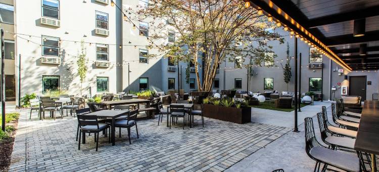 亚特兰大中城区Voco达尔文酒店(Voco the Darwin - Atlanta Midtown)图片