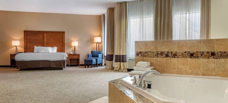 阿巴拉钦/宾汉顿西 17 号公路舒适酒店(Comfort Inn Apalachin / Binghamton W Route 17)图片