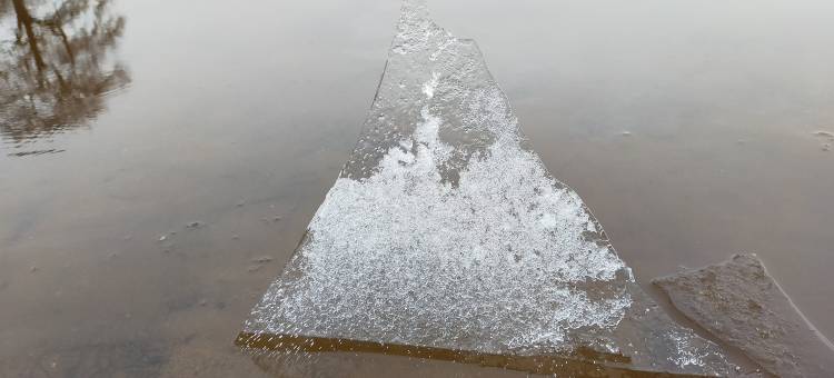 阿德瓦尼房子(Ardvonie House)图片