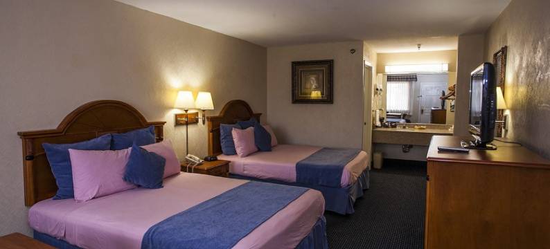 市中心霍比套房酒店(Downtowner Inn and Suites - Houston)图片