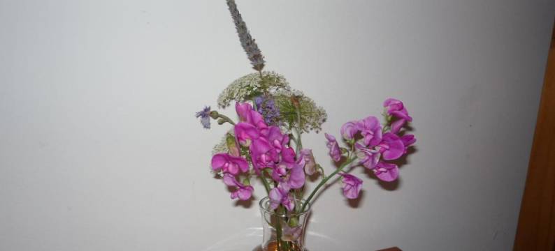 猫头鹰住宿加早餐旅馆(Chambres d'Hôtes la Chouette)图片