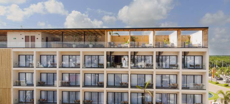 Hive Cancun by G Hotels图片