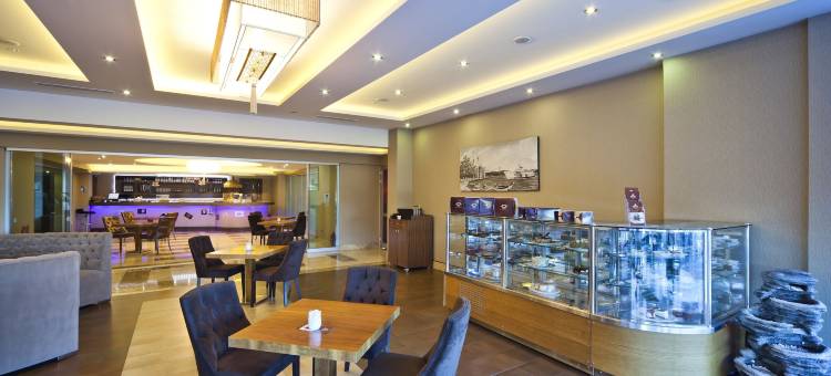 伊斯坦布尔排球酒店(Volley Hotel Istanbul)图片