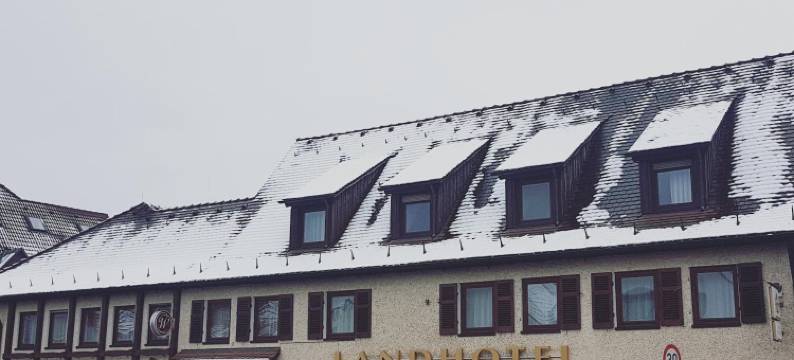 瓦尔德公园迎宾酒店(Landhotel Wolfschlugen)图片