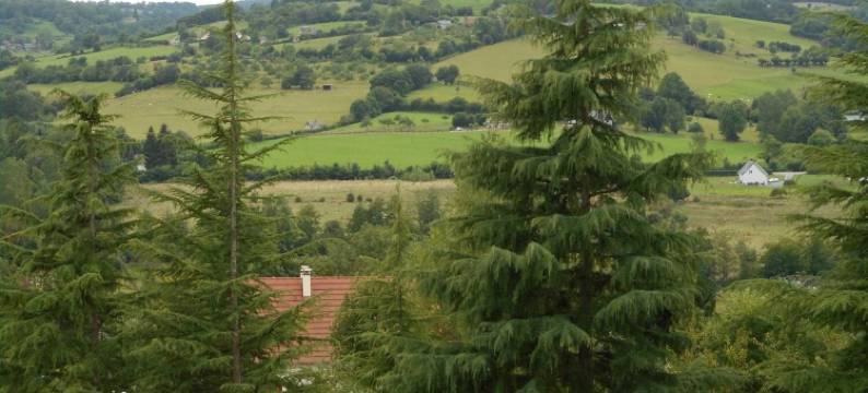 玛沃木屋酒店(Gadeyne Nathalie le Chalet de Malvoue)图片
