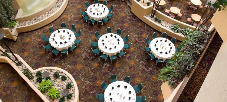 堪萨斯城国际机场希尔顿安泊酒店(Embassy Suites by Hilton Kansas City International Airport)图片