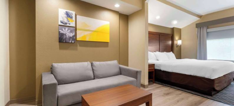 舒适套房酒店(Comfort Suites)图片
