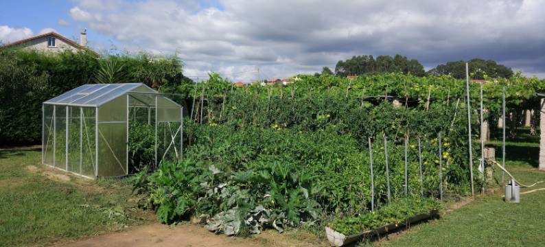 拉加尔得科斯塔葡萄酒旅游酒店(Enoturismo Lagar de Costa)图片