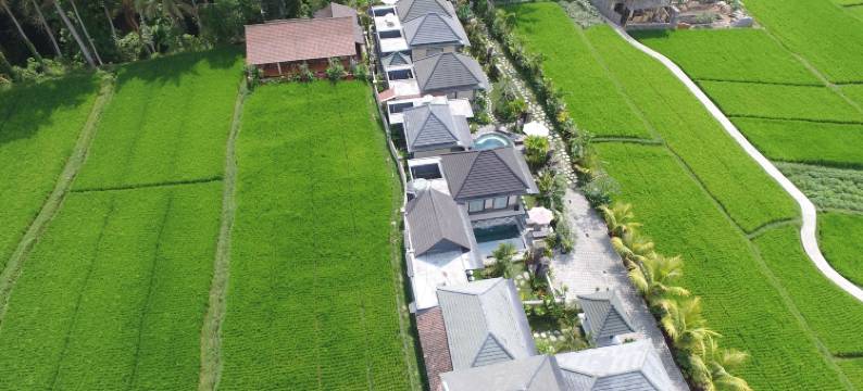 乌布JJ水疗别墅(Villa JJ and Spa Ubud)图片