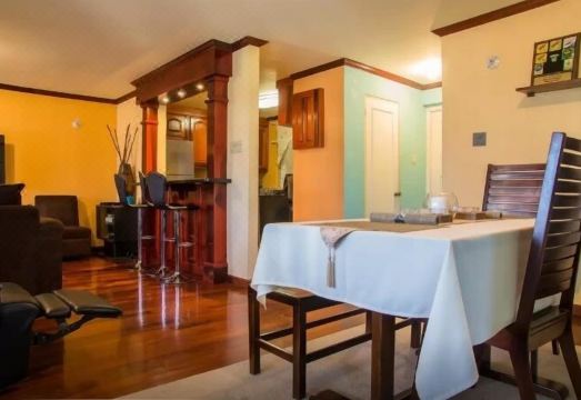 New Kingston Guest Apt at Dorchester Hotel Overview