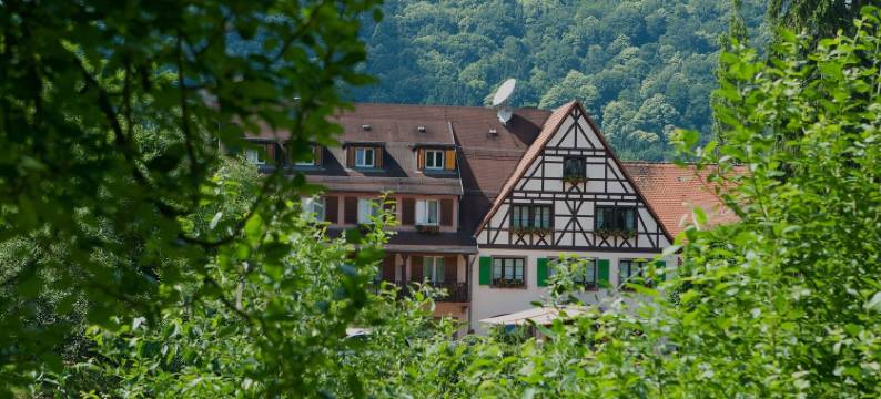 奥贝奇酒店(Auberge d'Imsthal)图片