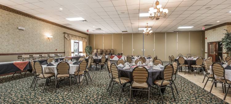 凯艺会议中心酒店(Quality Inn & Conference Centre)图片