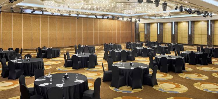 开罗皇家马克西姆皇宫凯宾斯基酒店(Royal Maxim Palace Kempinski Cairo)图片