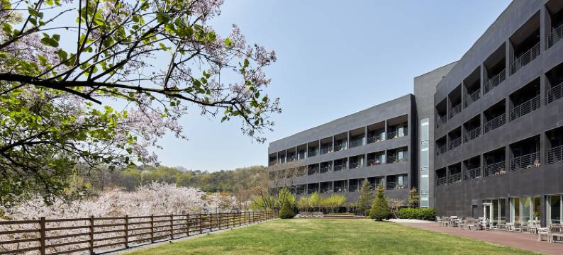 起伏丘陵酒店(Rolling Hills Hotel)图片