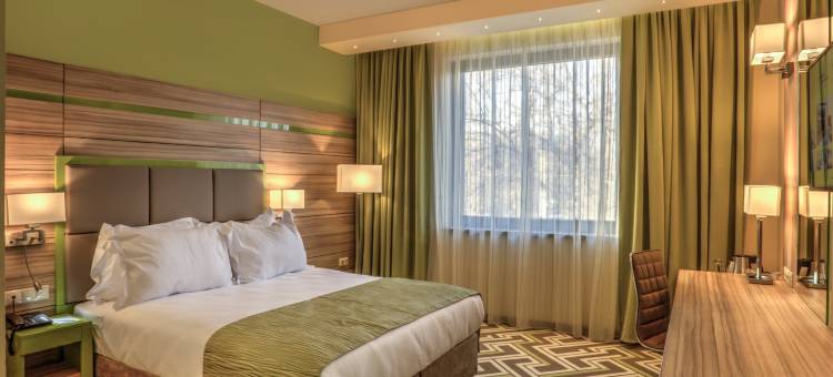 普罗夫迪夫假日酒店(Holiday Inn Plovdiv)图片