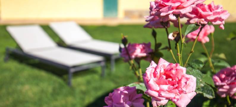 波吉奥利维乡村别墅酒店(Poggiolivi Agriturismo Bio in Maremma)图片