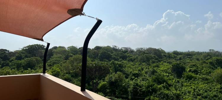 汤博之家(Tombo House)图片